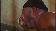Muscular Prison Gay Gets A Hard, Veiny Cock To Suck Through A Glory Hole